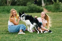 Vue latérale de la femme et de l'adolescente assises sur la prairie en été et jouant avec le chien Border Collie moelleux le week-end par une journée ensoleillée — Photo de stock