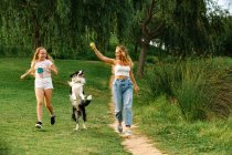 Fröhliche Mutter und Tochter laufen im Sommerpark und spielen mit entzückendem Border Collie Hund, während sie am Wochenende zusammen Spaß haben — Stockfoto