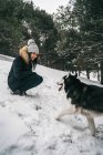 Jovem senhora étnica vestindo outerwear com cão bonito husky enquanto se agacha em florestas nevadas perto de abetos verdes no dia de inverno — Fotografia de Stock
