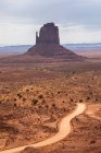 Paesaggio pittoresco con formazioni rocciose situate su terreni desertici con vegetazione rara e albero nel canyon contro il cielo nuvoloso negli Stati Uniti — Foto stock