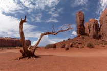 Cenário surpreendente de altos monumentos rochosos localizados em terreno arenoso deserto ensolarado contra o céu nublado no parque nacional dos EUA — Fotografia de Stock