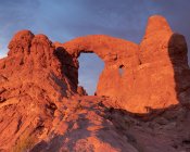 Paisagem incrível com formação arqueada em rocha vermelha perto de vegetação rara localizada no parque nacional contra o céu nublado nos EUA — Fotografia de Stock