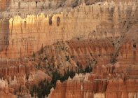 Picturesque landscape of tall rocky formations with green rare vegetation located in desert terrain in Bryce canyon with sandstone in USA — Stock Photo
