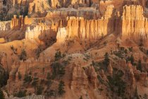 Malerische Landschaft aus hohen Felsformationen mit grüner, seltener Vegetation, die sich in wüstem Gelände im Bryce Canyon mit Sandstein in den USA befindet — Stockfoto