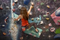 Back view of strong female athlete in sportswear clambering wall in modern bouldering center — Stock Photo