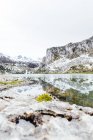 Удивительный пейзаж сурового горного хребта со склонами в снегу и холодным замерзшим озером на дне в ясный зимний день — стоковое фото