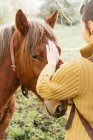 Vista laterale di tenera femmina muso accarezzamento di cavallo castagno al pascolo nel prato durante il fine settimana trascorrendo in campagna — Foto stock