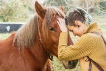 Вид збоку ніжної жінки, що погладжує мордочку каштанового коня, що випасає на лузі, проводячи вихідні в сільській місцевості — стокове фото