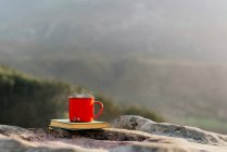 Tazza di metallo con bevanda calda posta sul volume del libro sulla roccia in un terreno montagnoso nella giornata di sole — Foto stock