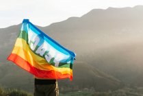 Visão traseira do caminhante de pé com bandeira LGBT arco-íris com inscrição Paz e desfrutar de liberdade com braços estendidos nas montanhas — Fotografia de Stock