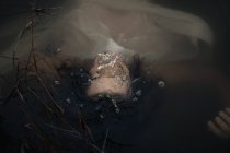 Vue de dessus du dos de la culture nage touristique féminine anonyme avec tissu ondulé dans le lac au crépuscule — Photo de stock