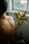 Вид сзади анонимный мужчина без рубашки сидит в темной комнате рядом с нежной тонкой веткой растения с засохшими листьями и глядя в окно — стоковое фото
