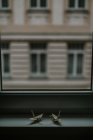 Origamis de papel artesanal representando guindastes semelhantes contra janela e fachada da casa no crepúsculo no fundo borrado — Fotografia de Stock