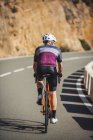 Вид сзади молодого спортсмена в спортивной одежде и шлеме на велосипеде на асфальтированной дороге в солнечный день — стоковое фото