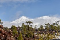 Живописные пейзажи скалистой горной цепи с склонами, покрытыми толстым слоем снега, расположенными на обширной грубой долине под голубым небом — стоковое фото