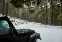 Modern black off roader car parked on snowy roadside in frozen coniferous woodland on clear winter day — Foto stock