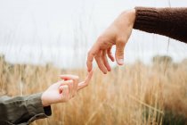 Crop anonymous boyfriend touching finger of female beloved on meadow with golden grass under white sky — Stock Photo