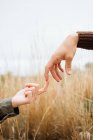 Crop anonymous boyfriend touching finger of female beloved on meadow with golden grass under white sky — Stock Photo