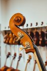 Moderne Geigenkurvenrolle mit Wirbeln gegen Sammlung akustischer Musikinstrumente auf Rack im Studio — Stockfoto
