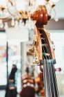 Сучасний скрипковий завиток з кілочками проти колекції акустичних музичних інструментів на стійці в студії — стокове фото