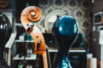 Современный скрипичный свиток с колышками против коллекции акустических музыкальных инструментов на стойке в студии — стоковое фото