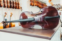 Віолончель з темного дерева розміщена на стіні з різноманітними акустичними музичними інструментами в сучасному легкому магазині — стокове фото
