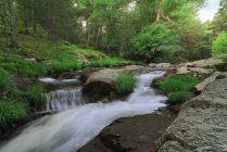Удивительный природный ландшафт быстрой мелководной реки, протекающей среди валунов в зеленом лесу на реке Лозоя в сельской местности Мадрида в Испании — стоковое фото