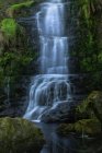 Vista pitoresca da pequena cascata de cachoeira que atravessa a floresta em Cascada de Oneta, Astúrias, Espanha — Fotografia de Stock