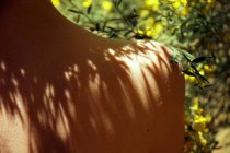 Vista posterior de la cosecha femenina anónima con hombros desnudos relajándose en el jardín cerca de suaves flores amarillas en el día soleado - foto de stock