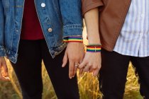 Recorte irreconocible pareja de mujeres lesbianas que usan pulseras de arco iris cogidas de la mano tiernamente mientras están de pie en el campo al atardecer - foto de stock