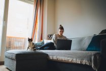 Cuerpo completo de joven freelancer en ropa casual sentada en cómodo sofá y trabajando remotamente en el portátil cerca de lindo gato calico - foto de stock