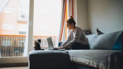 Full body of young female freelancer in casual clothes sitting on comfortable couch and working remotely on laptop near cute calico cat — Stock Photo
