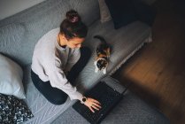 From above full body of young female freelancer in casual clothes sitting on comfortable couch and working remotely on laptop near cute calico cat — Stock Photo