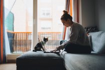 Crop of young female freelancer in casual clothes sitting on comfortable couch and working remotely on laptop near cute calico cat — Stock Photo