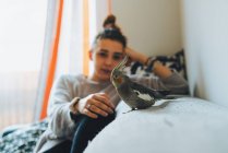 Side view of funny exotic cockatiel bird standing on sofa placed near window in modern apartment — Stock Photo