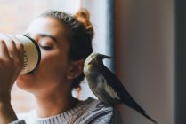Niedlicher Nymphenvogel sitzt auf der Schulter einer jungen, nachdenklichen Besitzerin im warmen Pullover, die am Fenster steht und zu Hause einen Becher mit Heißgetränken trinkt — Stockfoto