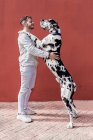 Vista lateral de un joven feliz sin afeitar hombre en ropa casual y adorable obediente perro arlequín Gran Danés abrazándose unos a otros contra el fondo rojo - foto de stock