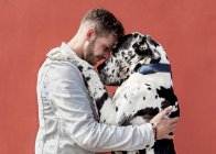 Vista lateral de un joven feliz sin afeitar hombre en ropa casual y adorable obediente perro arlequín Gran Danés abrazándose unos a otros contra el fondo rojo - foto de stock