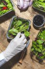 Top view crop anonymous chef in glove adding black olives to mix leaves salad with butter cubes — Fotografia de Stock