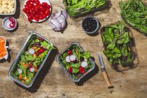 Zusammensetzung von köstlichen Gemüsesalaten in Folienschalen auf dem Tisch neben verschiedenen Zutaten wie Kirschtomaten Zwiebeln Rettich und Karotten — Stockfoto