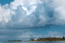 Живописный вид острова Океания с зелеными деревьями на песчаном пляже, окруженном синим морем на фоне ясного неба в Индонезии — стоковое фото