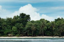 Ідилічний острів з тропічними зеленими деревами на піщаному узбережжі, оточений блакитним морем проти ясного неба в Індонезії. — стокове фото
