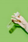 Crop unrecognizable scientist with plant in plastic tube on green background in studio — Stock Photo