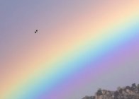 Птах пролітає крізь яскраву веселку на хмарному небі над гірським хребтом — стокове фото