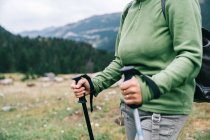 Side view of cropped anonymous female hiker in casual clothes with backpack and Nordic walk poles standing in picturesque highlands — Stock Photo