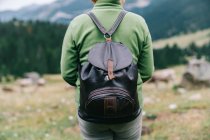 Анонимная женщина-туристка в повседневной одежде с рюкзаком, стоящим в живописном высокогорье и любующимся видом — стоковое фото