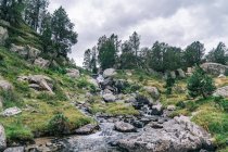 Cascada de río de montaña que fluye sobre grandes piedras entre árboles en acantilados en garganta - foto de stock