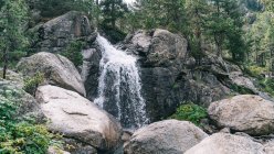 Waterfall of mountain river flowing over big stones between trees on cliffs in gorge — Stock Photo