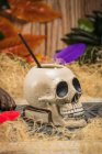 Ceramic polynesian tiki cup skull shaped with straw placed amidst dry grass with wooden fence and colorful feathers on blurred background — Stock Photo