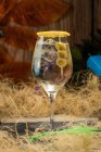 Bodega de cristal con cóctel Martini servido con ralladura de limón y borde de aceitunas colocadas contra hierba seca - foto de stock